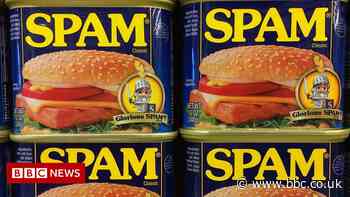 Spam sales hit record high for seventh year in a row