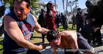 Report: Prosecutors Are Trying to Break Up a Network of US Antifa Cells for the First Time