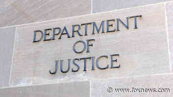 ISIS propaganda figure pleads guilty in US court to aiding terrorist group