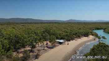 Would you trade your beach house for bitcoin?