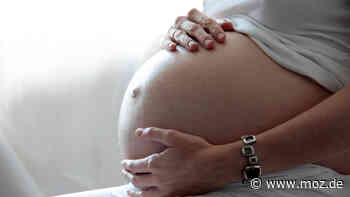Schwangerschaft und Kinder: „donum vitae“ in Eberswalde berät jährlich über 300 Frauen - moz.de