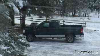 Her truck was stolen 2 years ago. She found it thanks to chance — and a spot of green nail polish