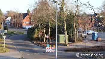 16 Bäume müssen für Aldi-Neubau in Papenburg weichen - NOZ