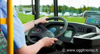 Oderzo, tamponamento tra corriera e auto | Oggi Treviso | News | Il quotidiano con le notizie di Treviso e Provincia: Oggitreviso - Oggi Treviso