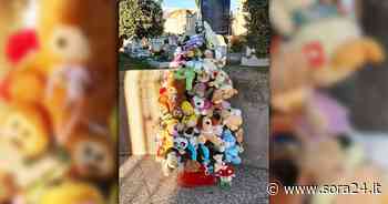 Sora: alberi di Natale per i bambini che ci hanno lasciato - Sora24