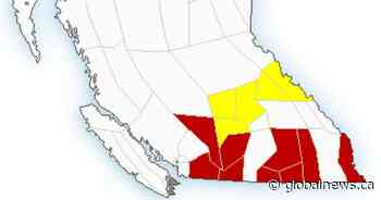 Snowfall, winter storm warnings issued for mountain passes in B.C.’s Southern Interior