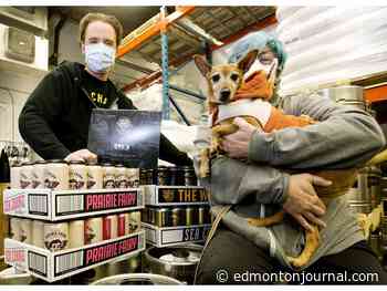 Edmonton brewery teams up with local animal rescue with calendar fundraiser