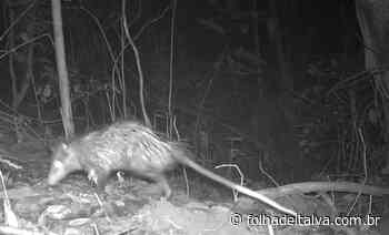 Secretaria do Ambiente de Itaperuna inicia programa de monitoramento em unidade de conservação - Folha de Italva