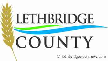 Lethbridge County Division 5 by-election general voting day on Monday - Lethbridge News Now