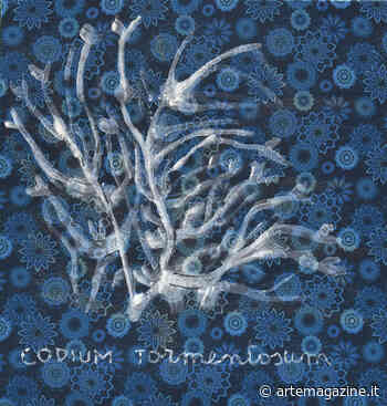 Franca Pisani in mostra a Chieri e Soresina - Arte Magazine