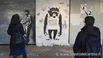 Bansky a Parma, una mostra in 'mixed reality' per immergersi nella magia dell'arte - il Resto del Carlino