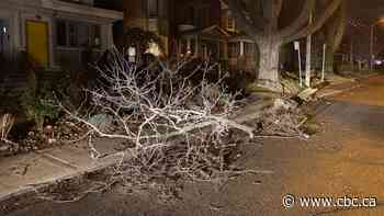 More than 200,000 without power as high winds blow through southern Ontario