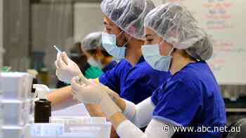 COVID updates: All the coronavirus news in one spot - ABC News