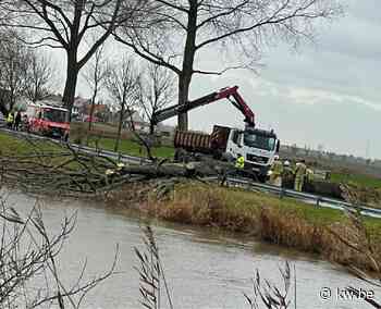 IJzerdijk Diksmuide urenlang versperd nadat boom van 25 meter omvalt - KW.be - KW.be
