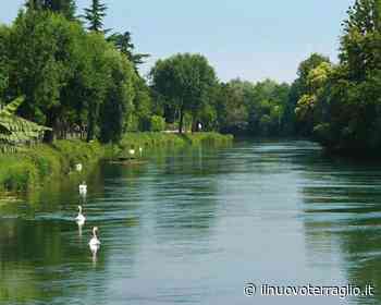 Silea per i Neogenitori: incontri e strumenti per le nuove famiglie - Il Nuovo Terraglio - Il Nuovo Terraglio