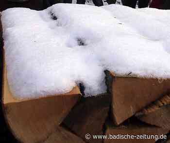 Kritik an Forstplanung für Steinen - Steinen - Badische Zeitung