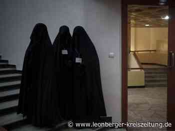 Zukunftsperspektive - Digitale Exil-Universität für Afghanen soll Hoffnung geben - Leonberger Kreiszeitung