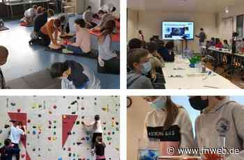 Von „Fake News“ bis hin zum Vogelhäuschen-Basteln - Hardheim - Nachrichten und Informationen - Fränkische Nachrichten