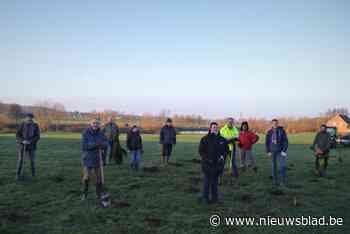 Eerste zaadje voor groener Wervik geplant: Weide langs Leie aangeplant met bomen en struiken