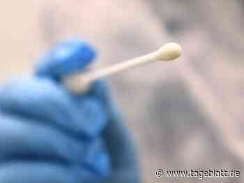 Vier weitere Omikron-Fälle in Hamburg bestätigt - TAGEBLATT: Nachrichten aus Stade, Buxtehude und der Region - Tageblatt-online