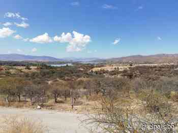Vegetación nativa y el verdor generado por el Lago San Jacinto - El País