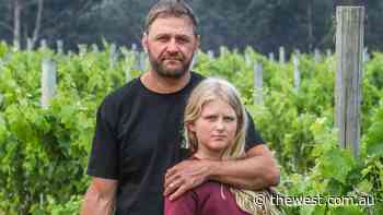 Tourism operators say loss of forest could cost livelihood - The West Australian