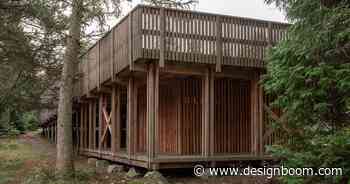 NORRØN architects designs a learning space among the trees of denmark's gribskov forest - Designboom