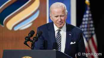 Sixty-nine percent of Americans disapprove of Biden's handling of inflation: poll