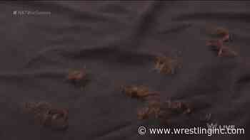 Cameron Grimes Wins Hair Vs. Hair Match At WWE NXT WarGames - Wrestling Inc.