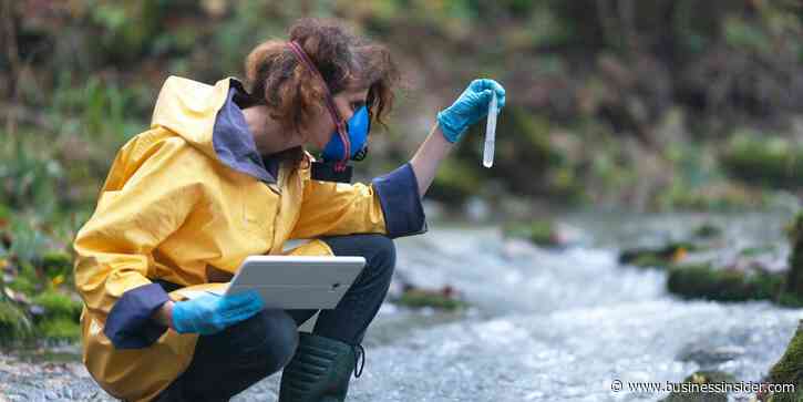 13 careers to consider if you're interested in environmental science and the skills you need to succeed