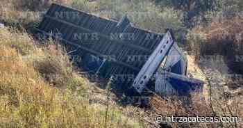 Se vuelca tráiler cargado con maíz en Fresnillo - NTR Zacatecas .com