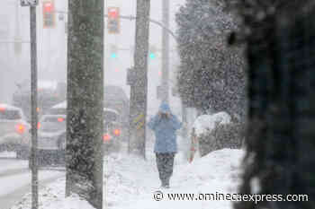 High winds and heavy snow forecast for much of southern B.C. - Vanderhoof Omineca Express