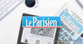 La Queue-en-Brie : l'hôpital des Murets va soigner sa sécurité - leparisien.fr