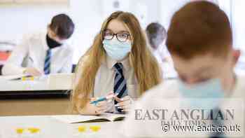 Thurston Primary moves key stage 2 online due to Covid - East Anglian Daily Times