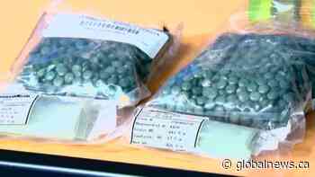 Edmonton Zone Medical Staff Association raises concerns over province’s response to opioid crisis