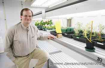 Space bacon, anyone? Canadian semifinalists tackle space food challenge in contest - Dawson Creek Mirror