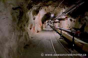 Navy blames Hawaii water contamination on jet fuel spill - Dawson Creek Mirror