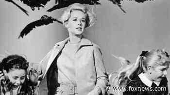 'The Birds' star Tippi Hedren says Alfred Hitchcock 'ruined' her career: He had 'a dark side'