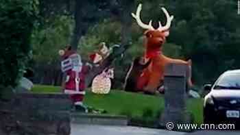 Bear cub vs inflatable reindeer: Watch as bear takes on lawn decoration