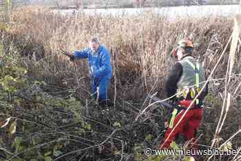 Vrijwilligers Natuurpunt opnieuw aan werk op Noordelijk eiland