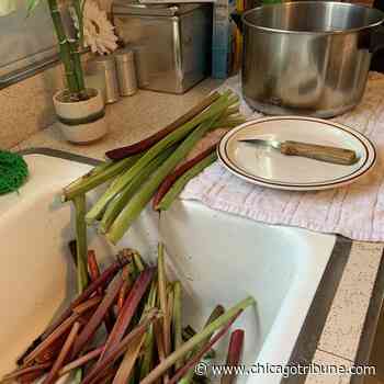 Potempa: Pantry recipe secrets delivered hi-tech for South Shore Arts program - Chicago Tribune