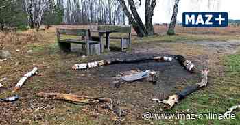 Nach Vandalismus: Rastplätze am Burgenwanderweg Bad Belzig demontiert - Märkische Allgemeine Zeitung