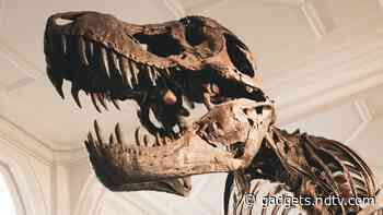 Dinosaur-Killing Asteroid May Have Hit Earth During Spring, Research Suggests