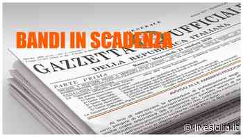 Catania, concorso urgente per 130 assunzioni BANDO - Livesicilia.it