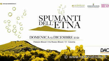 Cosa fare a Catania, gli eventi del week-end: Spumanti dell'Etna, Naturosa Catania Marathon, Popup Market - CataniaToday