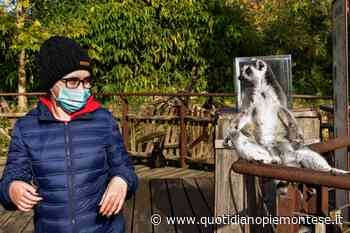 Chiara, malata di astrocitoma, da Catania a Torino realizza il suo sogno a Zoom - Quotidiano Piemontese