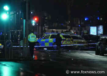Man killed in shooting involving police near UK royal palace
