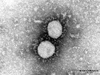 Study: Mutation found that makes Delta variant more deadly | The Asahi Shimbun: Breaking News, Japan News and Analysis - Asahi Shimbun