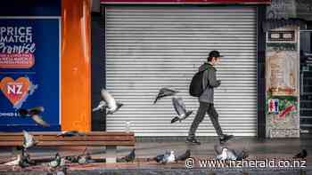 GDP Preview - How much damage did Delta do to the economy? - New Zealand Herald