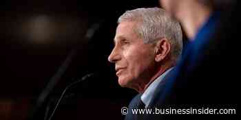 Fauci: Omicron variant 'almost certainly' not more severe than Delta - Business Insider
